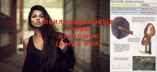 ешки Верея